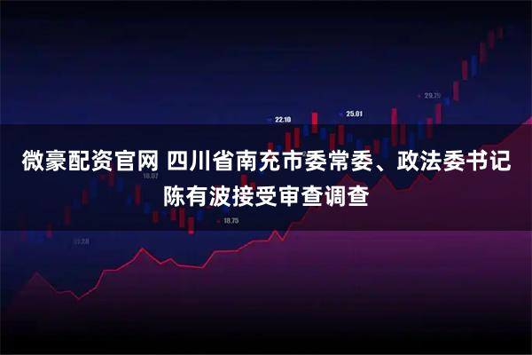 微豪配资官网 四川省南充市委常委、政法委书记陈有波接受审查调查